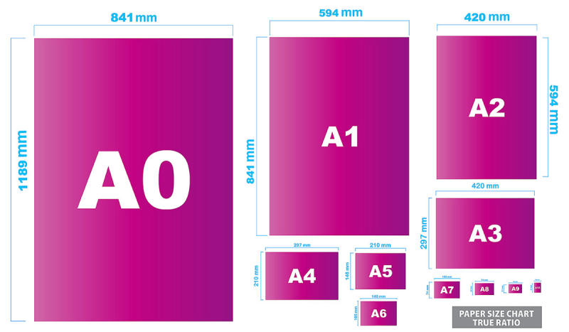 Kích thước tờ rơi: Tổng hợp các size chuẩn A4, A5, A6, DL