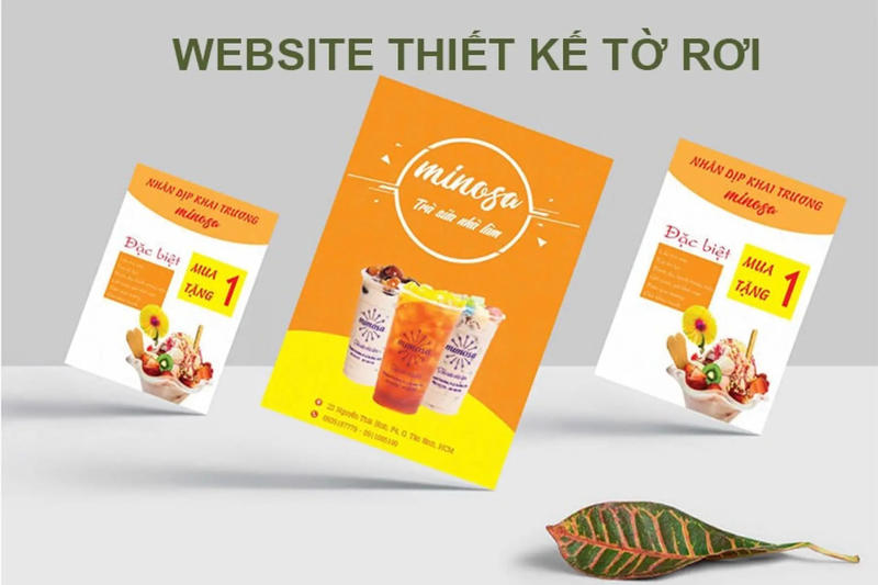 Thiết kế tờ rơi bằng phần mềm gì? Top công cụ chuyên nghiệp nhất